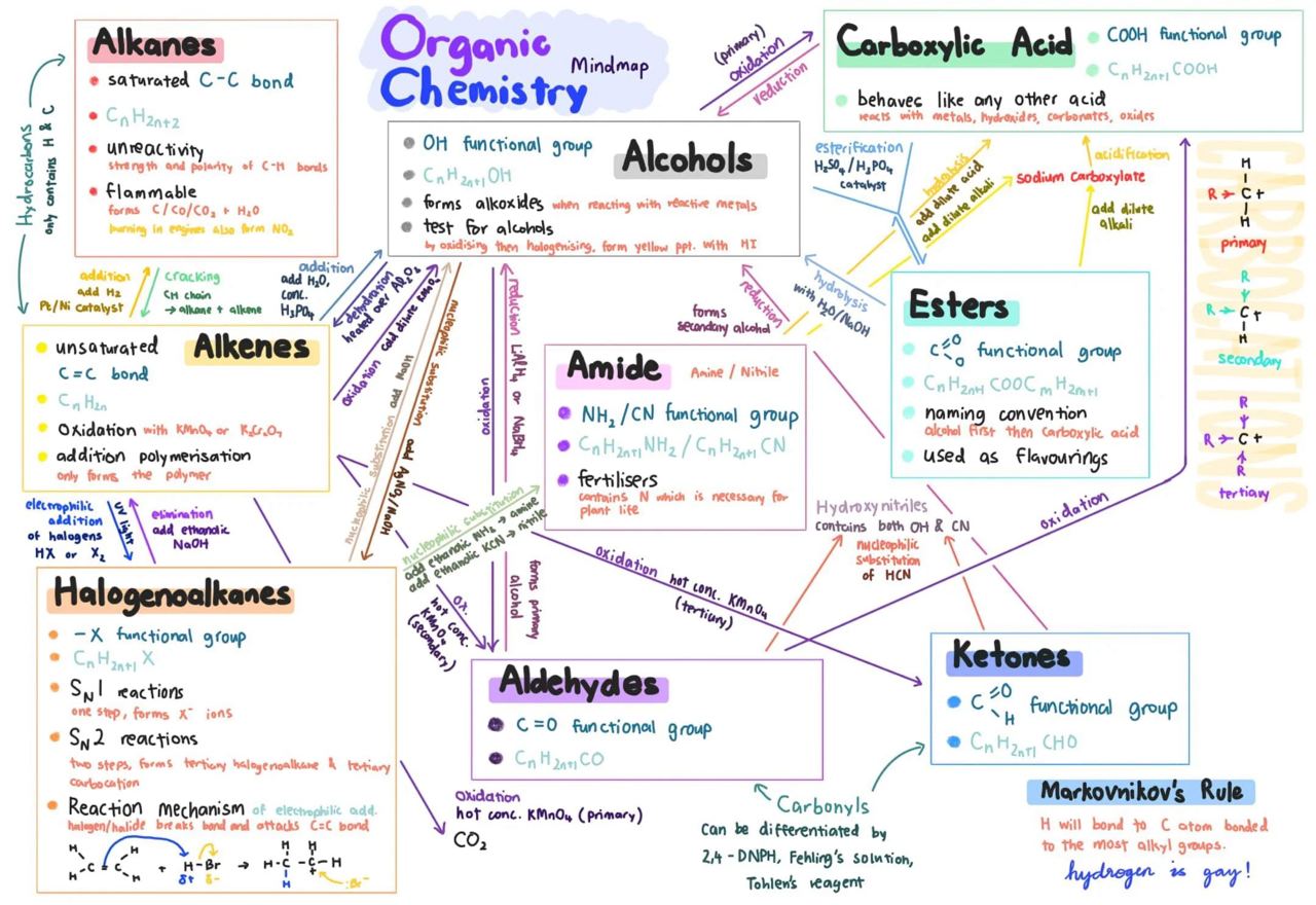 Organic Chemistry Mind Maps